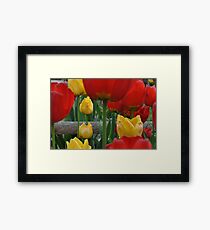 Yellow Framed Print