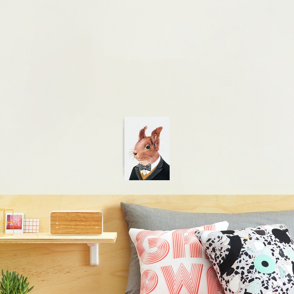 Red Squirrel Photographic Print