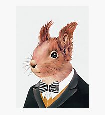 Red Squirrel Photographic Print