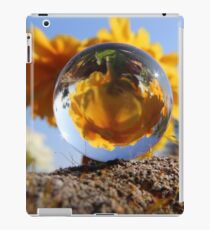 Vinilo o funda para iPad Bola de espejo, flor de reflejo.