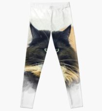 Purebred cat Leggings