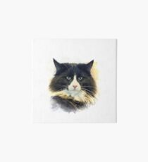 Purebred cat Art Board
