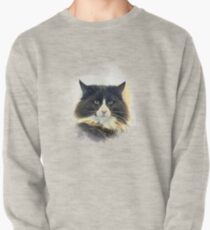 Purebred cat Pullover