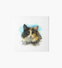 Purebred cat Art Board