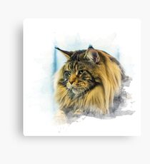 Purebred cat Canvas Print