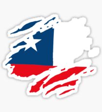 Viva Chile! Sticker