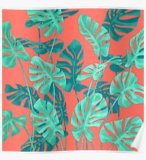 Monstera verlässt lebende Korallen. Poster