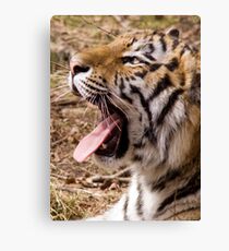 Say Ahhhh Canvas Print