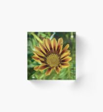 I Love Yellow Acrylic Block