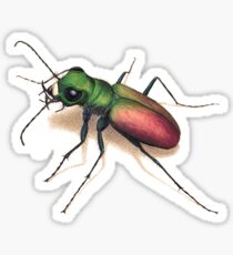 Beetle Sticker