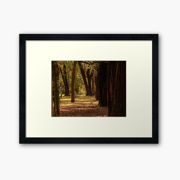 Floresta Marrom Framed Art Print