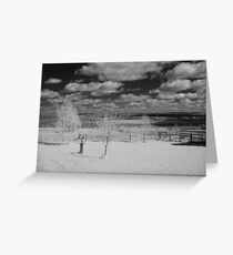 Untitled infrared Greeting Card