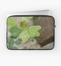 Water Droplets on Leaf Laptop Sleeve