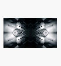 Breasts Photographic Print