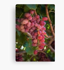 Fruit of the Vine.... Swan Valley, Western Australia Leinwanddruck
