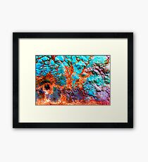 The Sea Dragon Framed Print