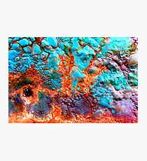 The Sea Dragon Photographic Print