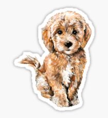 Pudel- / Goldendoodle-Welpen-Aquarell-Illustration Sticker