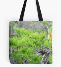 Dwarf Cypress Tree Tote Bag
