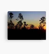 South Carolina Sunset Canvas Print