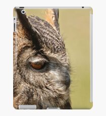 Frodo iPad Case/Skin