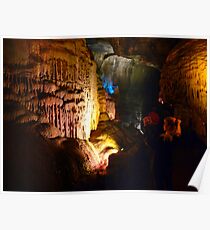 Beauty Witnessing Beauty Poster