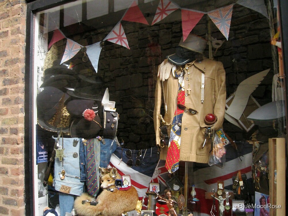 "Vintage Window Display" by BlueMoonRose Redbubble