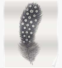 Guinea feather Poster