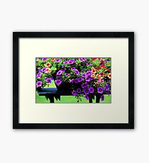 Potted Calibrachoa Framed Print