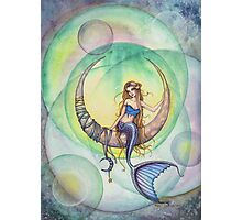 mermaid moon by susann cokal