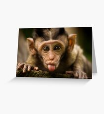 Rude Monkey Sticking Out Tongue Greeting Card