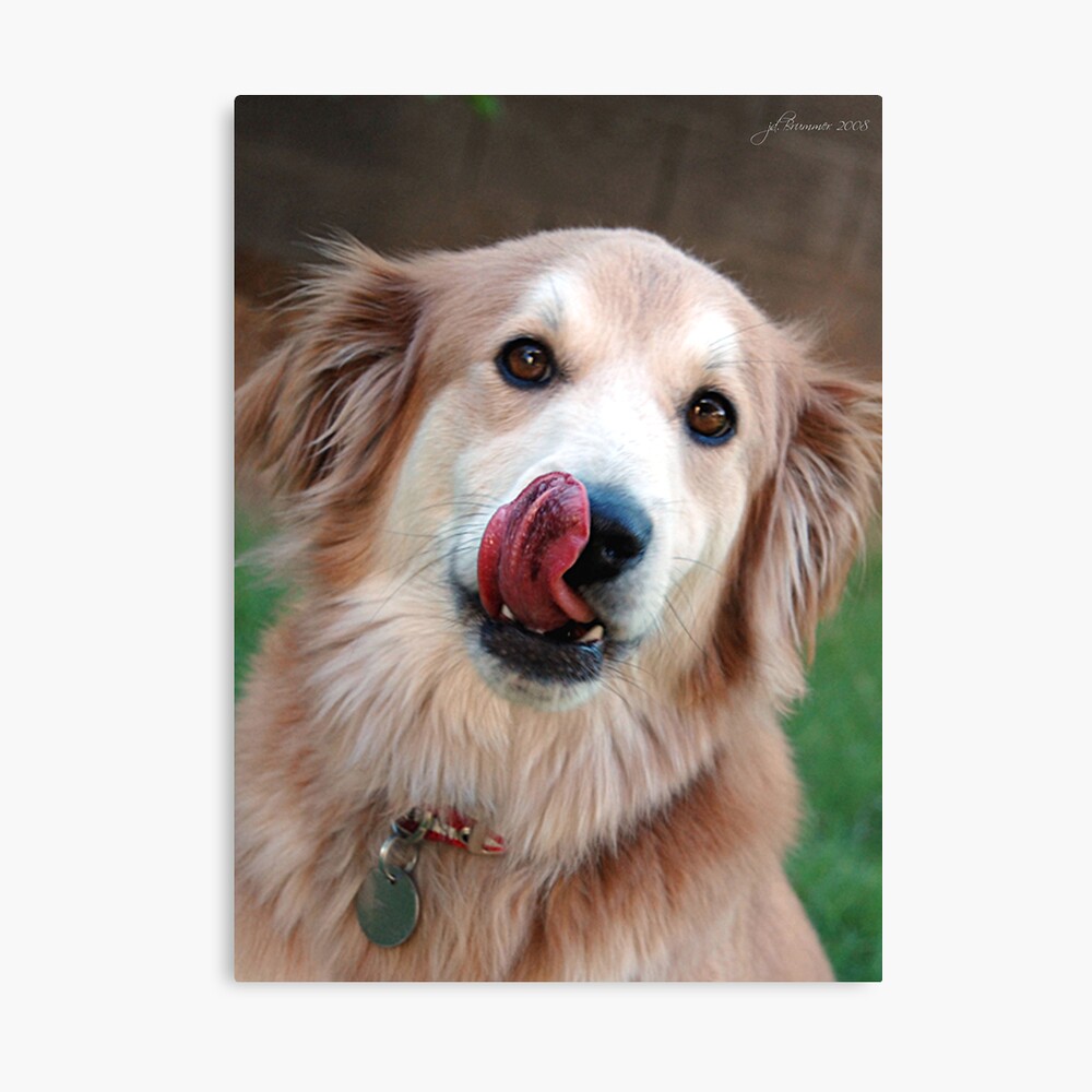 Good to the Last Drop Canvas Print
