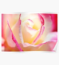 blushing beauty Poster