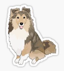 Sheltie Dog Sticker