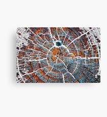 Winter is coming Canvas Print