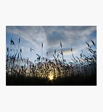 Screen Photographic Print