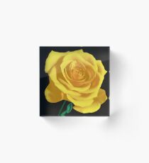 YELLOW ROSE Acrylic Block