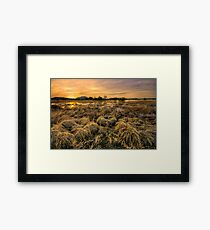 Straw Balls Framed Print