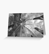 Streaks Greeting Card