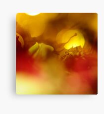 Unrequited Canvas Print