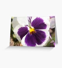 Flower Greeting Card