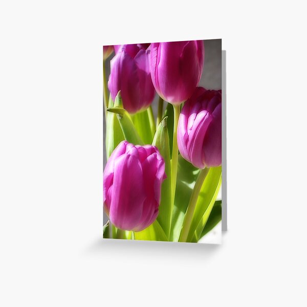 Dreaming of tulips Greeting Card