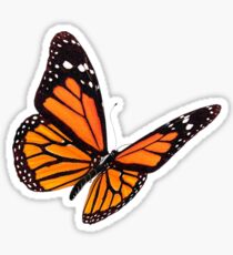 Monarch Butterfly Sticker