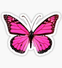 Hot Pink Butterfly Sticker