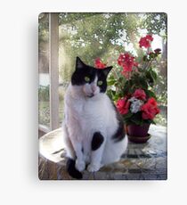 Death Can Be Forgiven Canvas Print