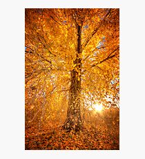 Exteme Fall Photographic Print