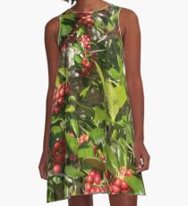 FRÜHLING HOLLY A-Linien Kleid