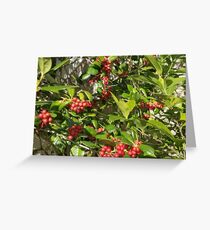 FRÜHLING HOLLY Grußkarte