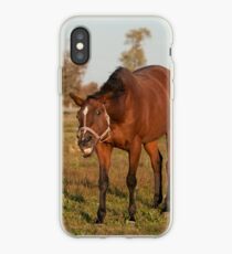 Letting Loose! - Joy NNEP Ottawa, ON iPhone Case