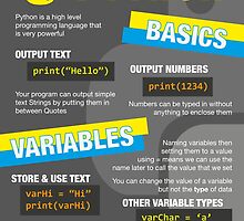 "Intro to Python Poster (Computer Science GCSE) #2" by lessonhacker ...
